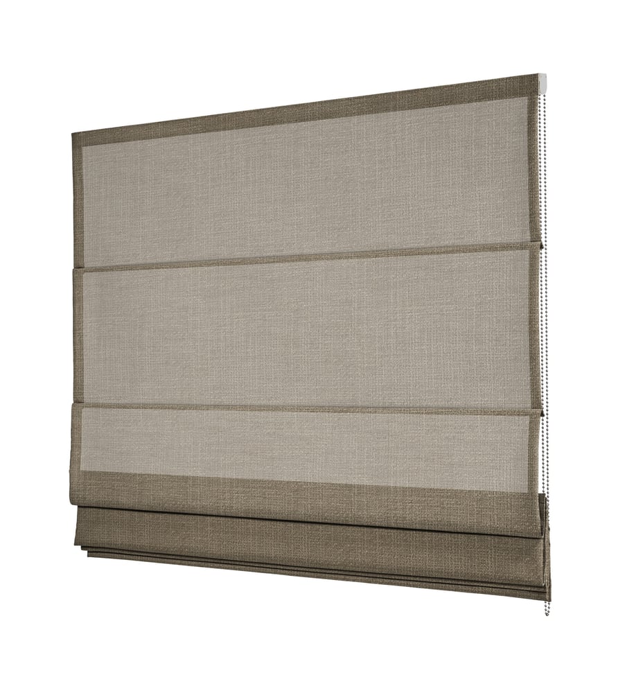 RM1C-CLEO-220352