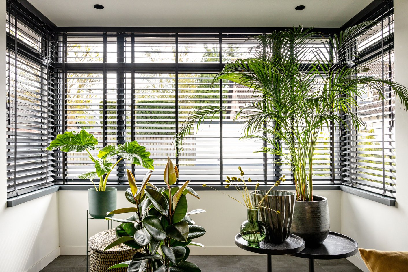 Urban jungle