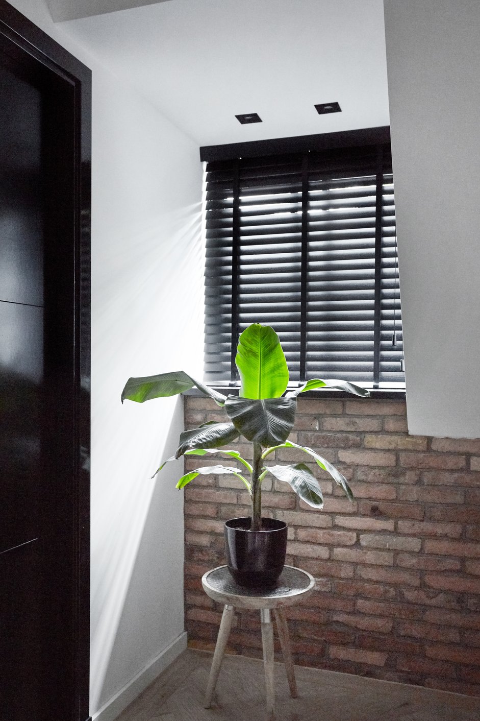 Tiny house binnenkant met jaloezieën