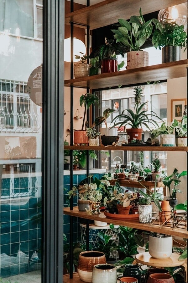 Botanische woonkamer