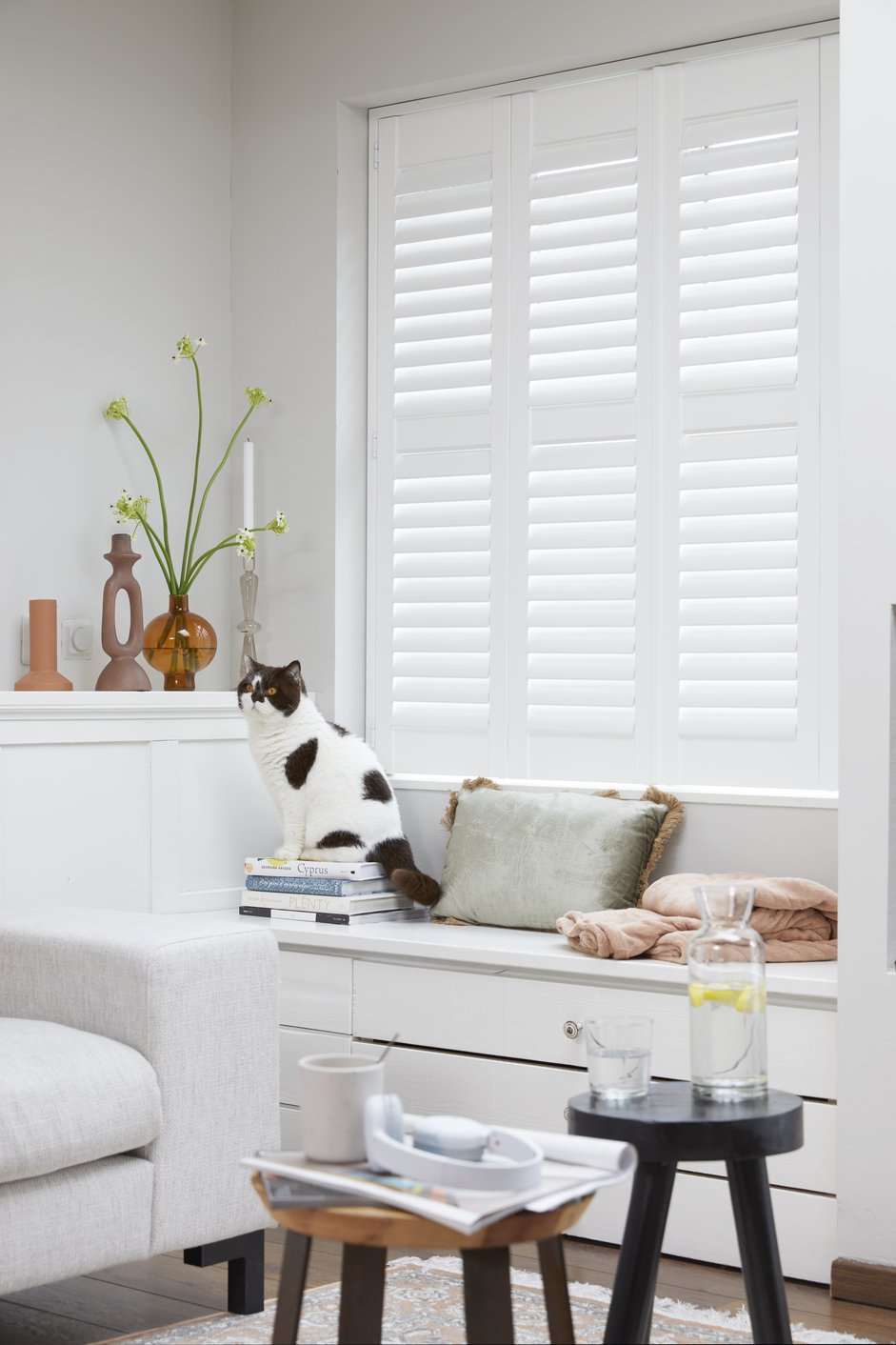 Witte shutters met huisdieren