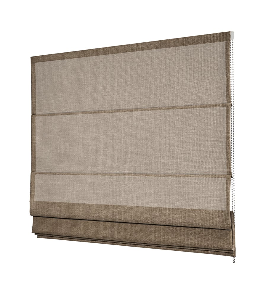 RM1C-CLEO-220353