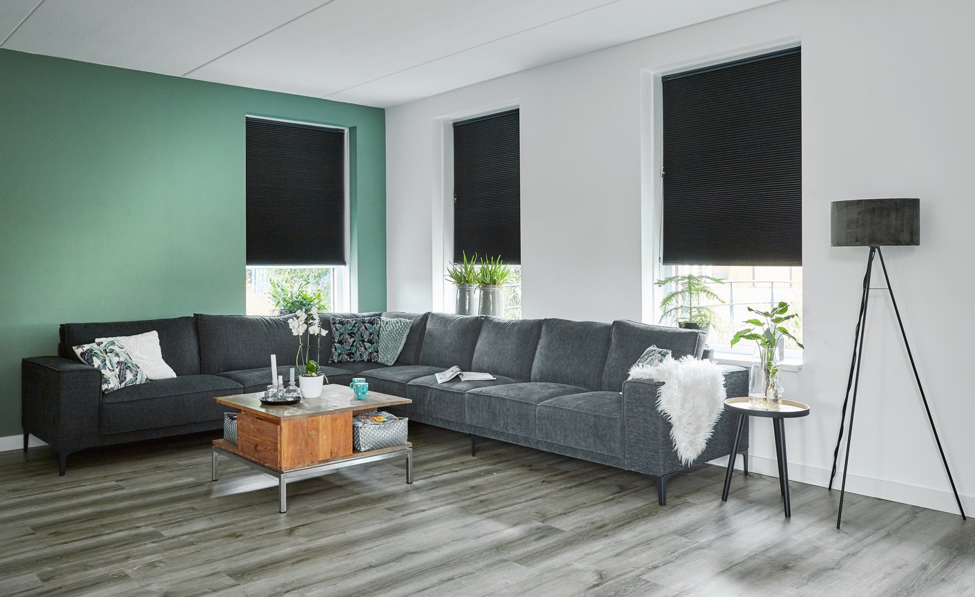 Kleurencirkel in woonkamer met groene muur