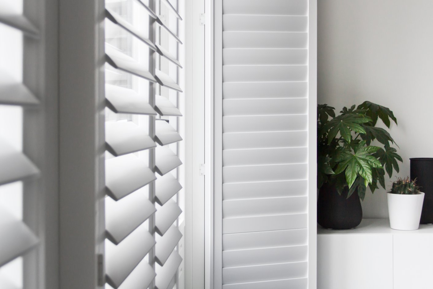 Urban jungle plant en shutter