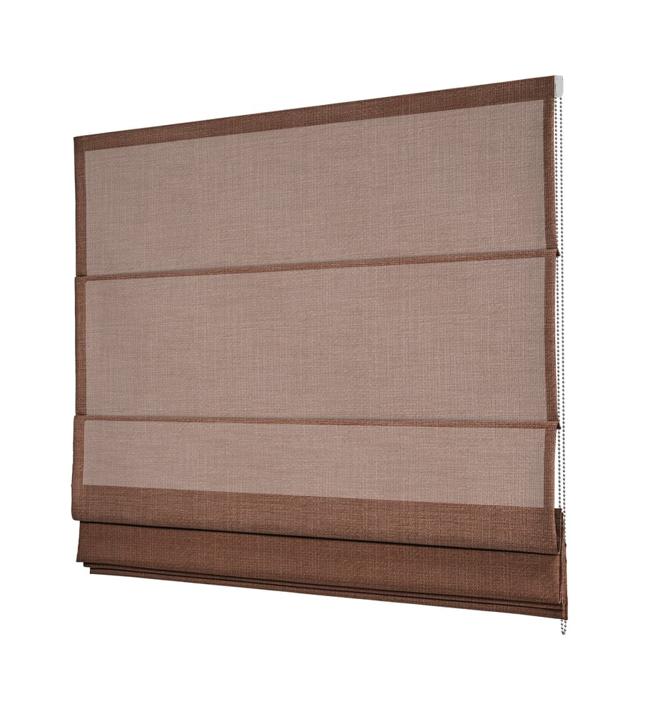 RM1C-CLEO-220341
