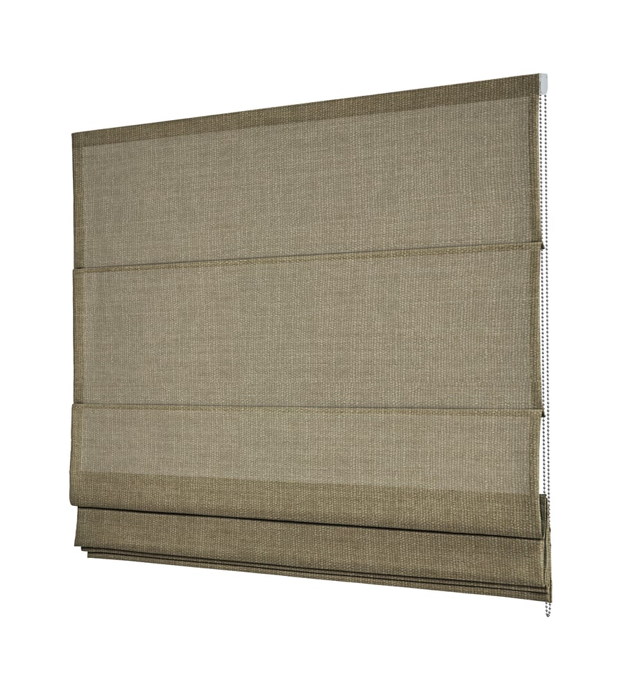 RM1C-VNOVG01