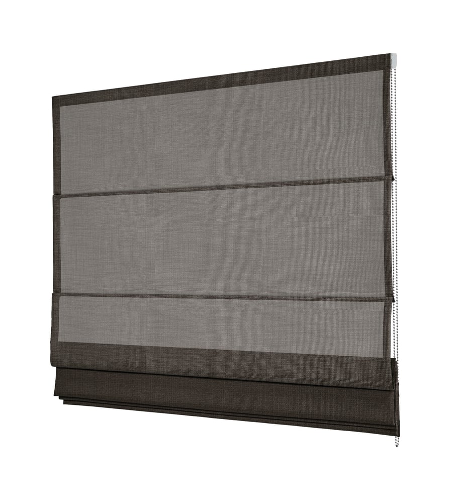 RM1C-CLEO-220345
